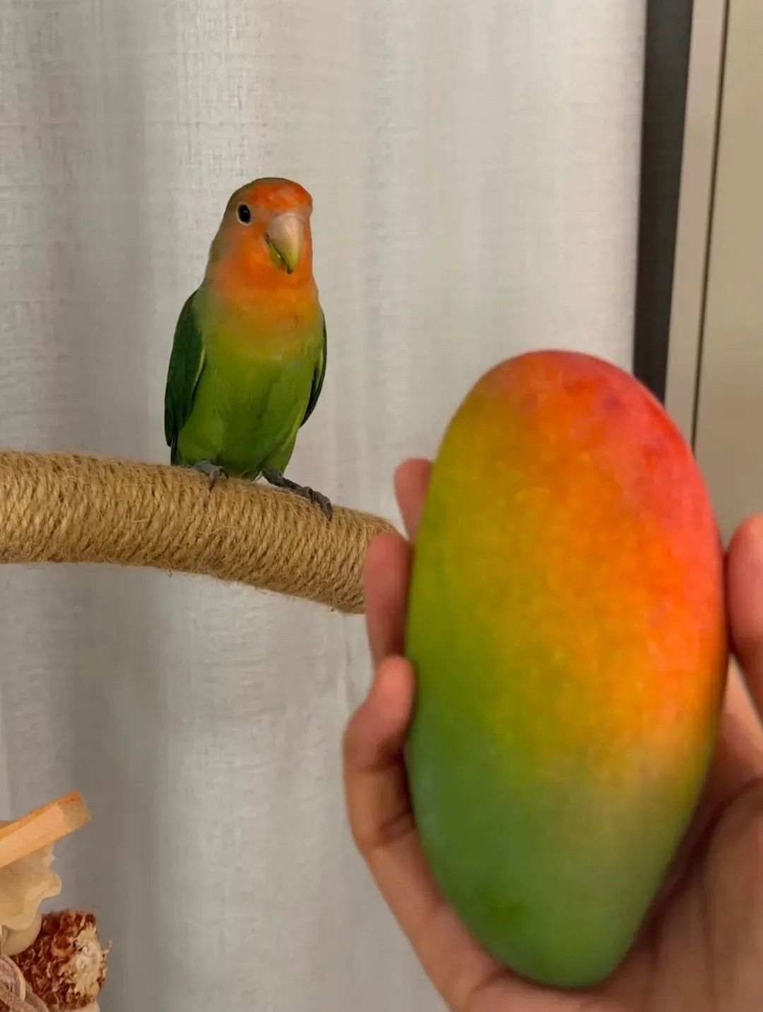 1001153644.jpg