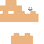 custom-skinmc (2).png