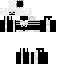 custom-skinmc (3).png