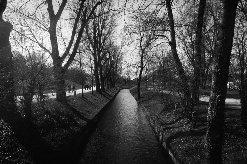 Fotografía 6 de Rigoberto Calderón