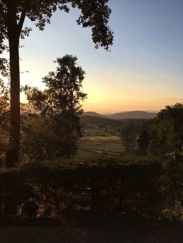 A hazy golden sunset over blue mountains, framed by silhouetted trees.