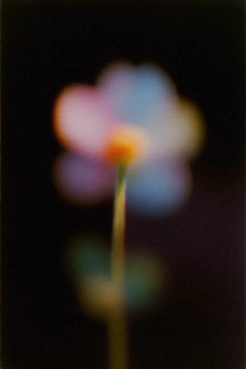 pg7c433g.jpg