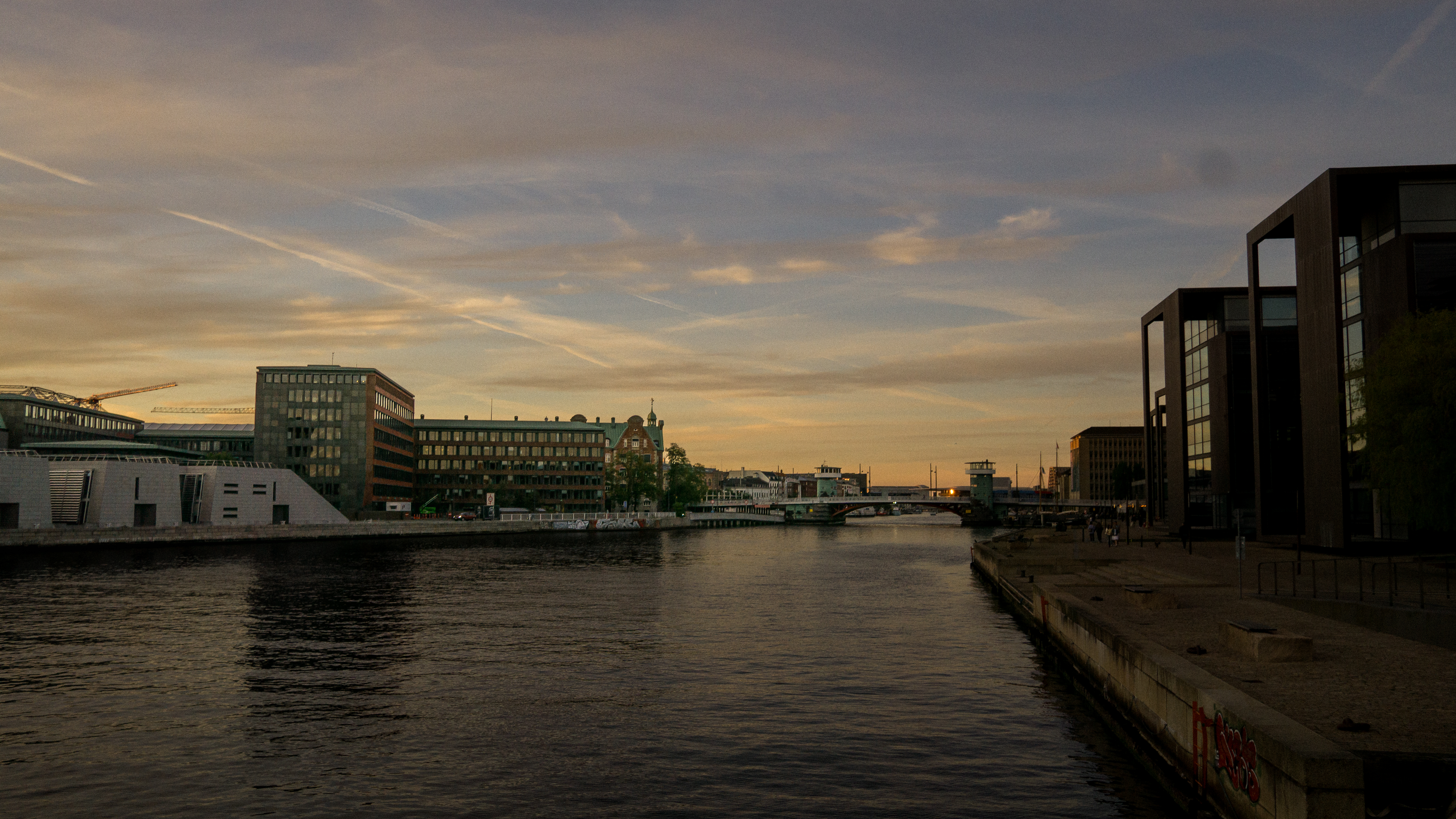 20260528-DSC04866.jpg
