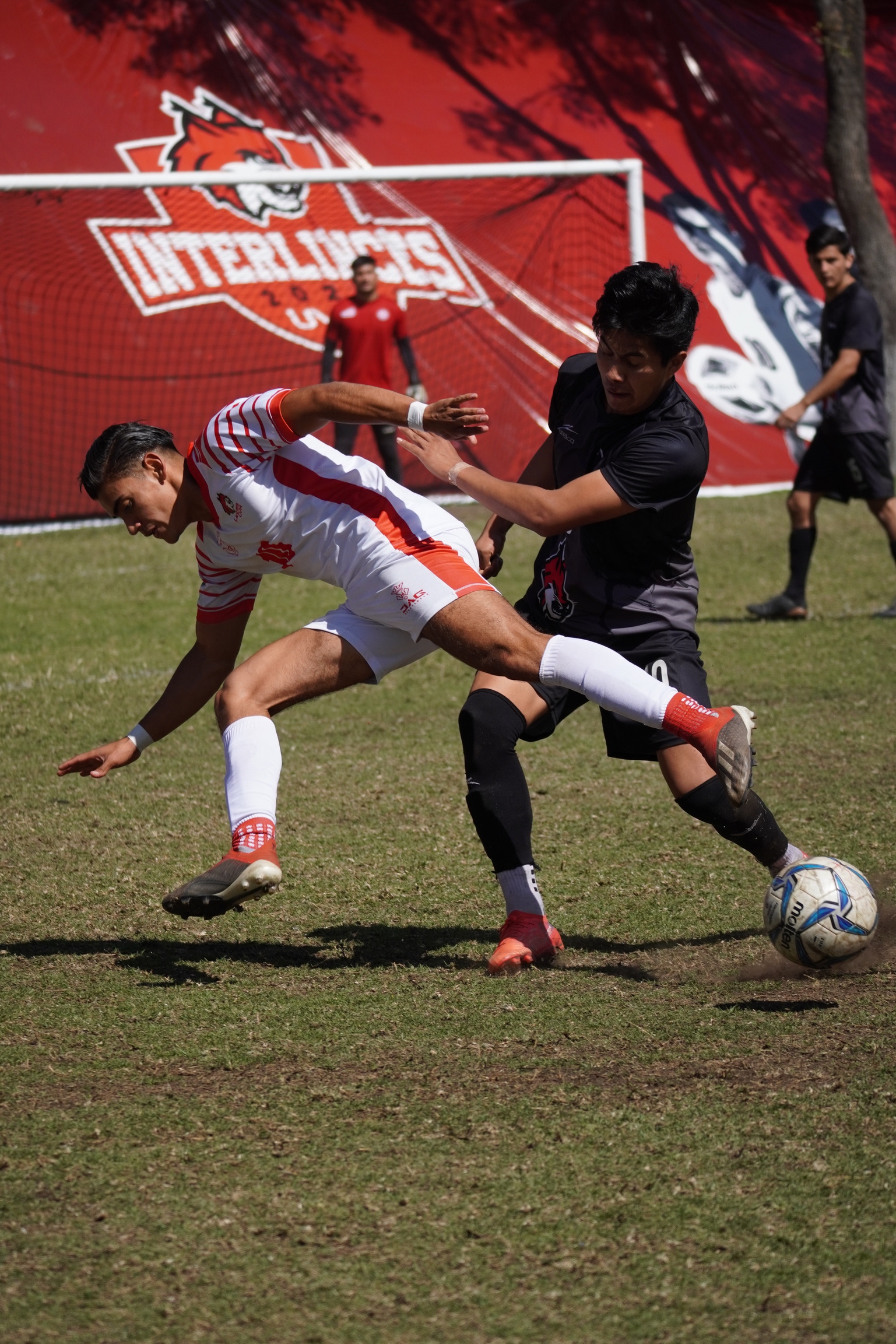 DSC01912.jpeg