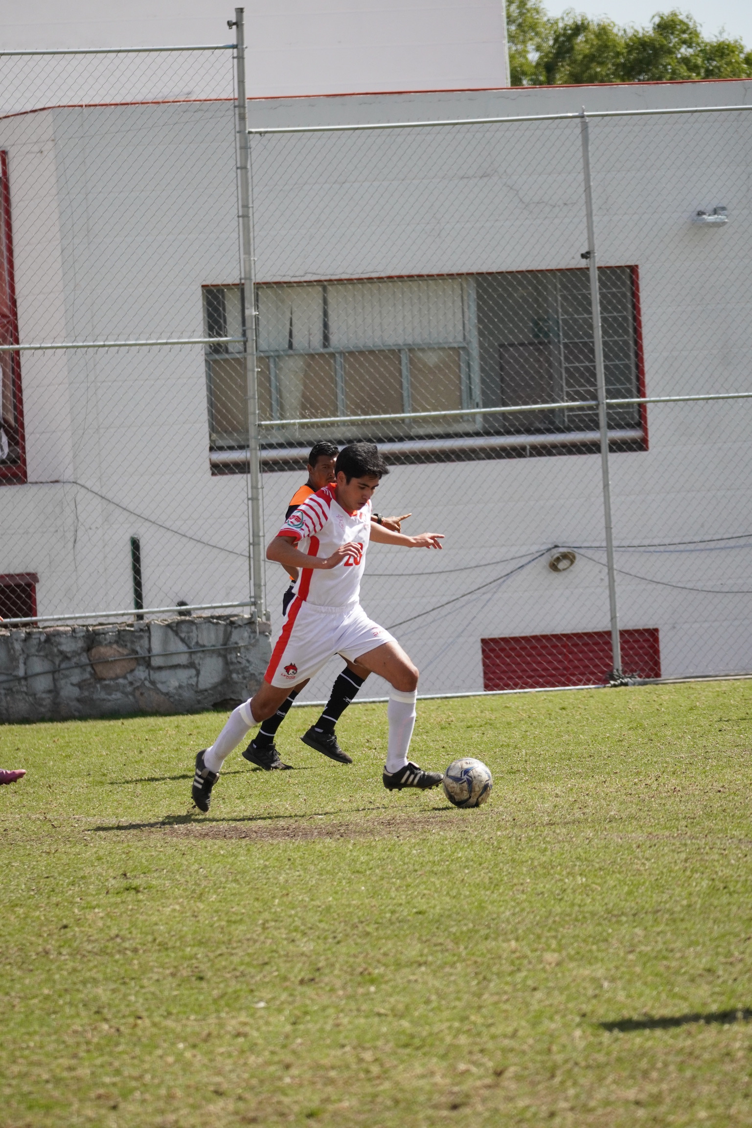 DSC01614.jpeg