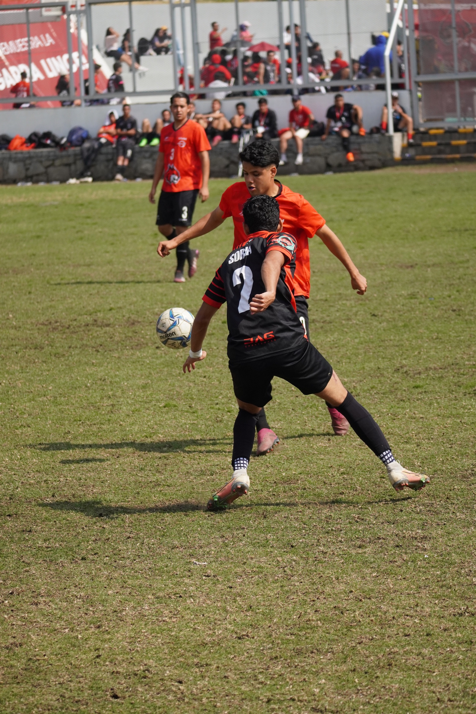 DSC00161.jpeg