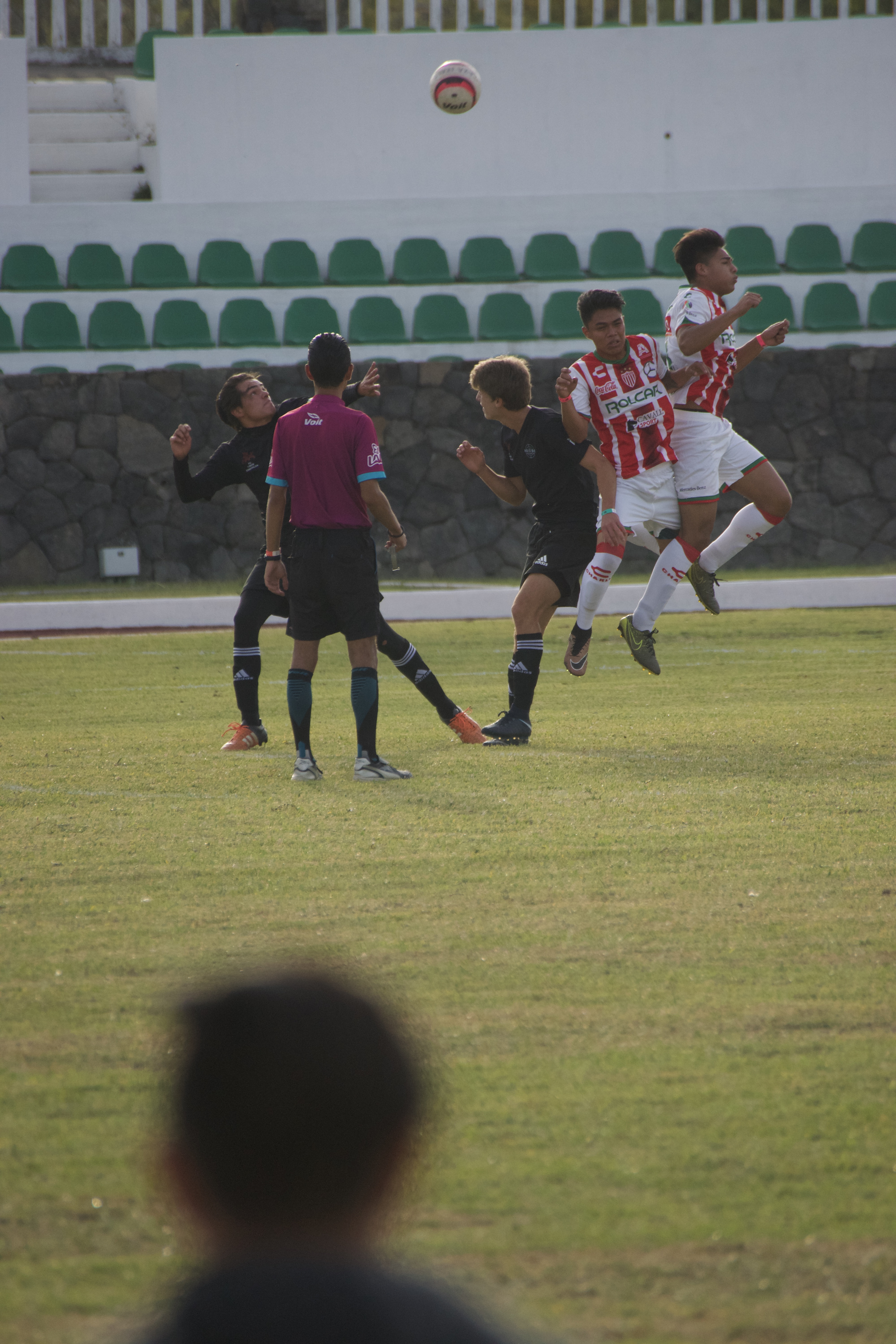 DSC09368.jpeg