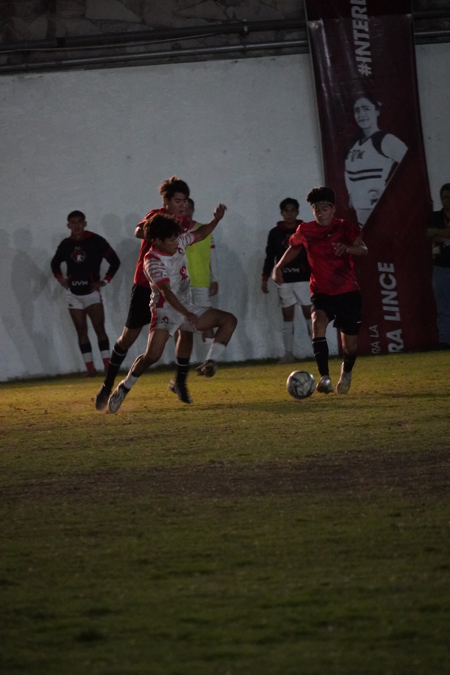 DSC01196.jpeg