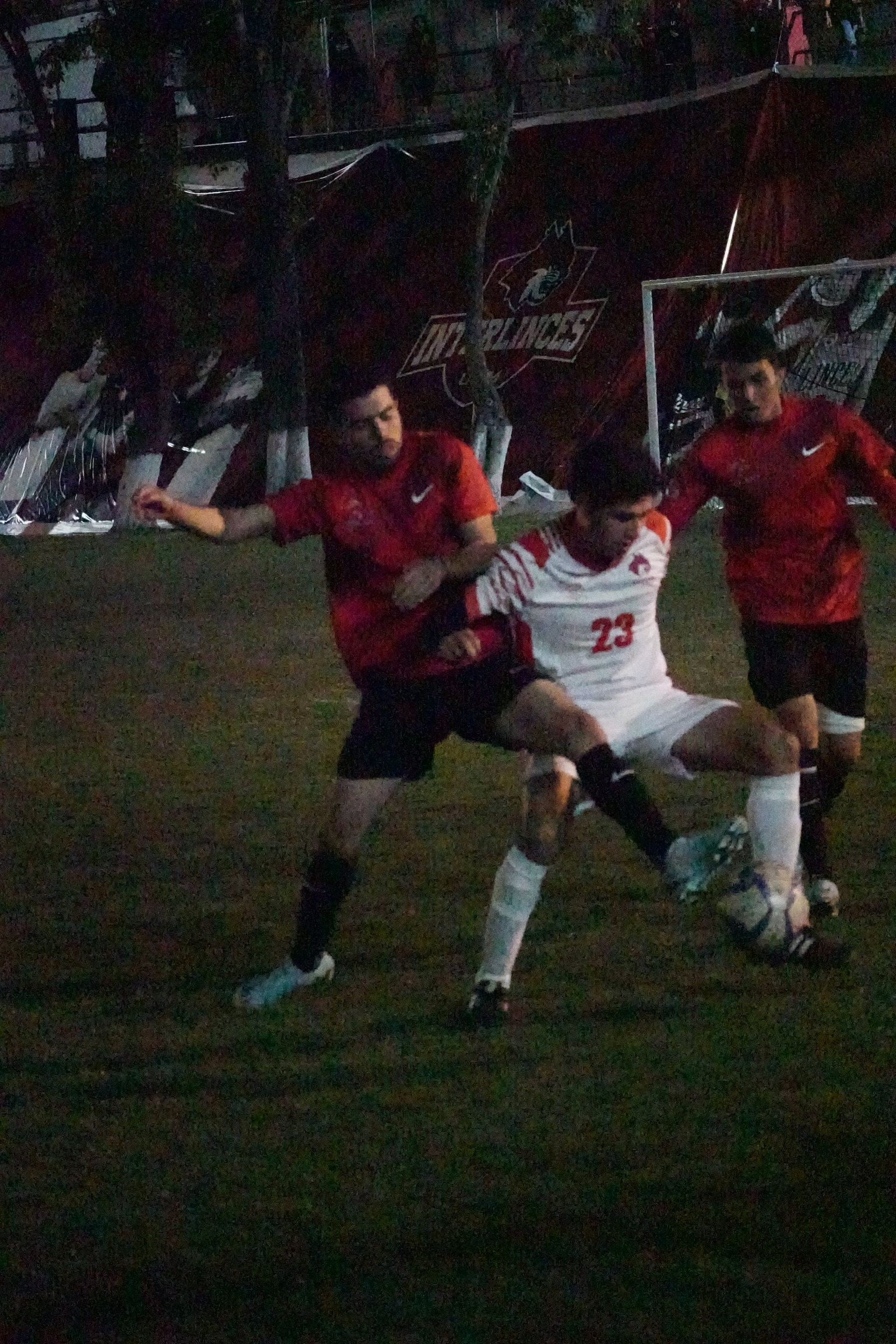 DSC00868.jpeg