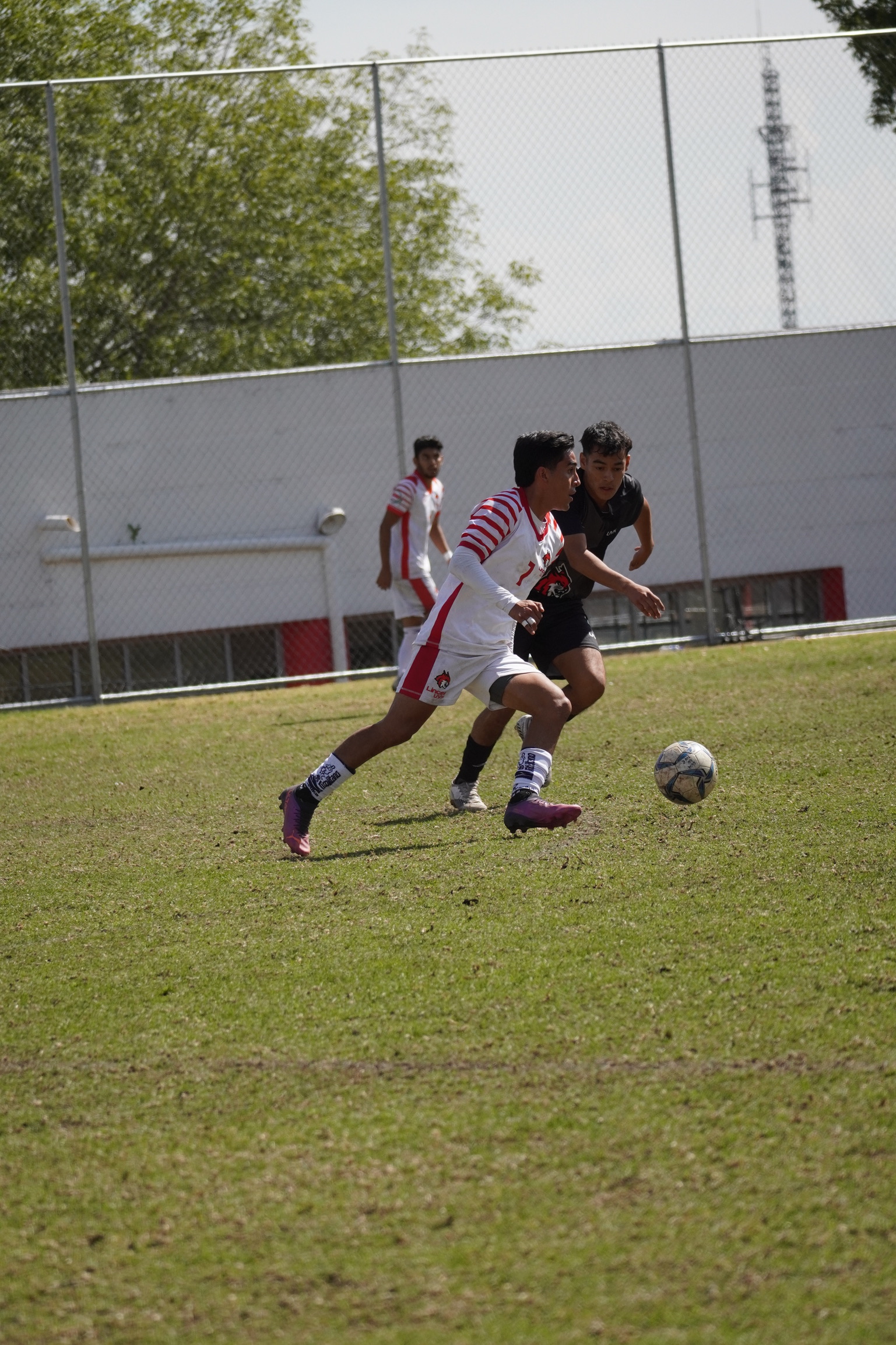 DSC01793.jpeg