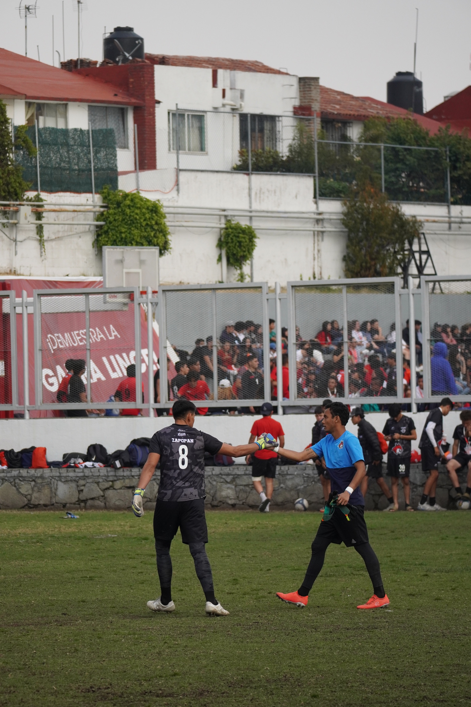 DSC00346.jpeg