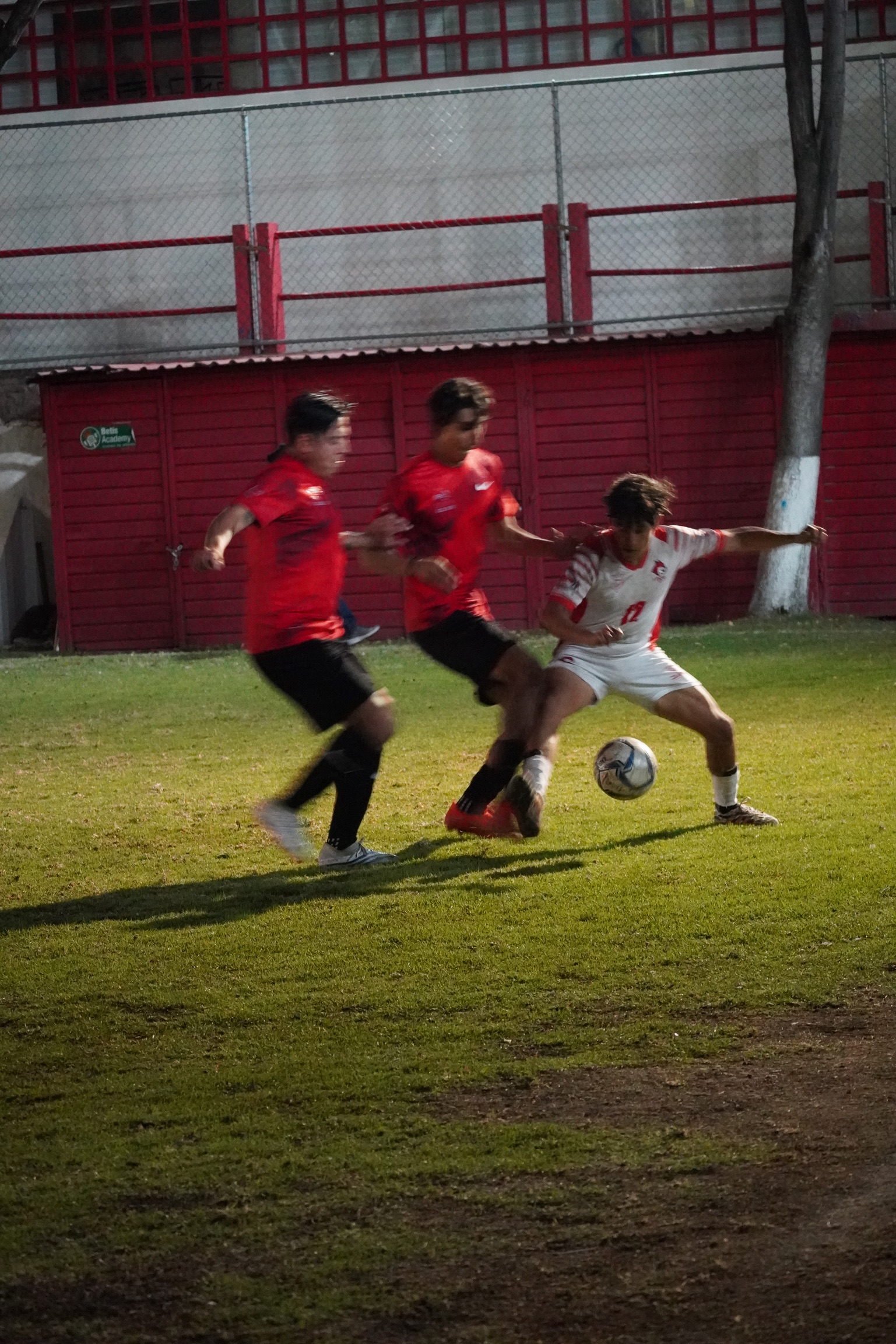 DSC01033.jpeg