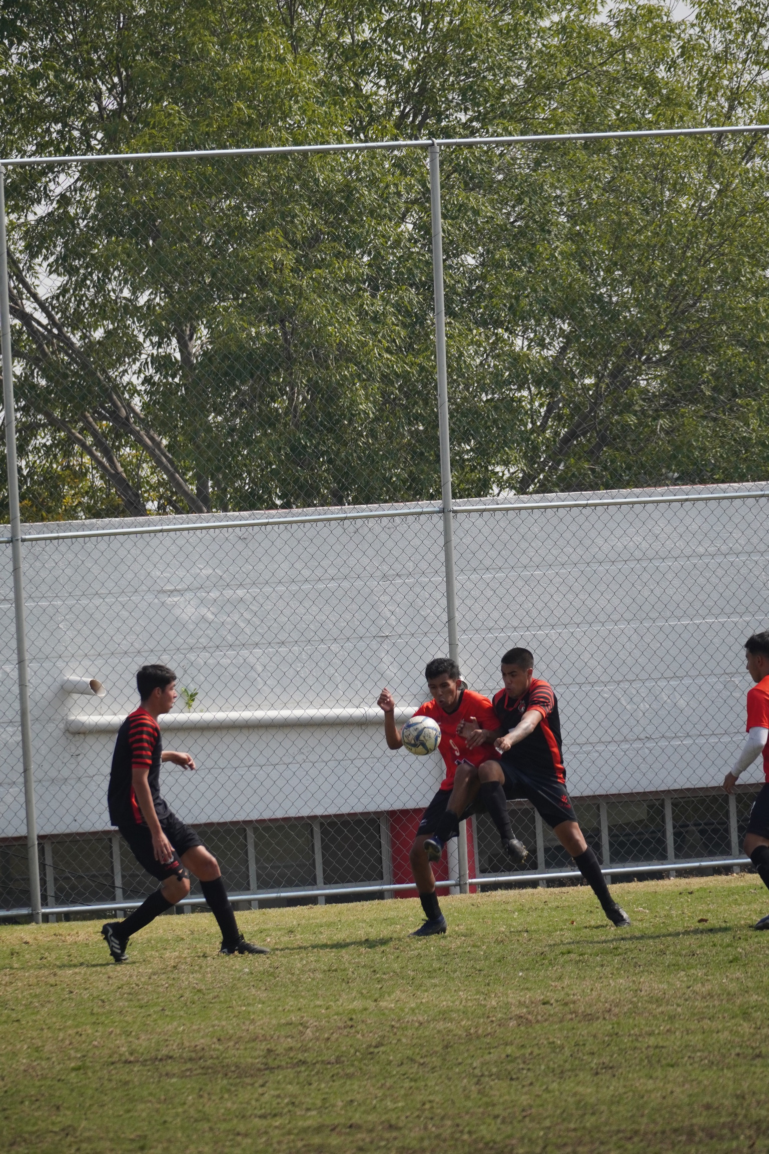 DSC00207.jpeg
