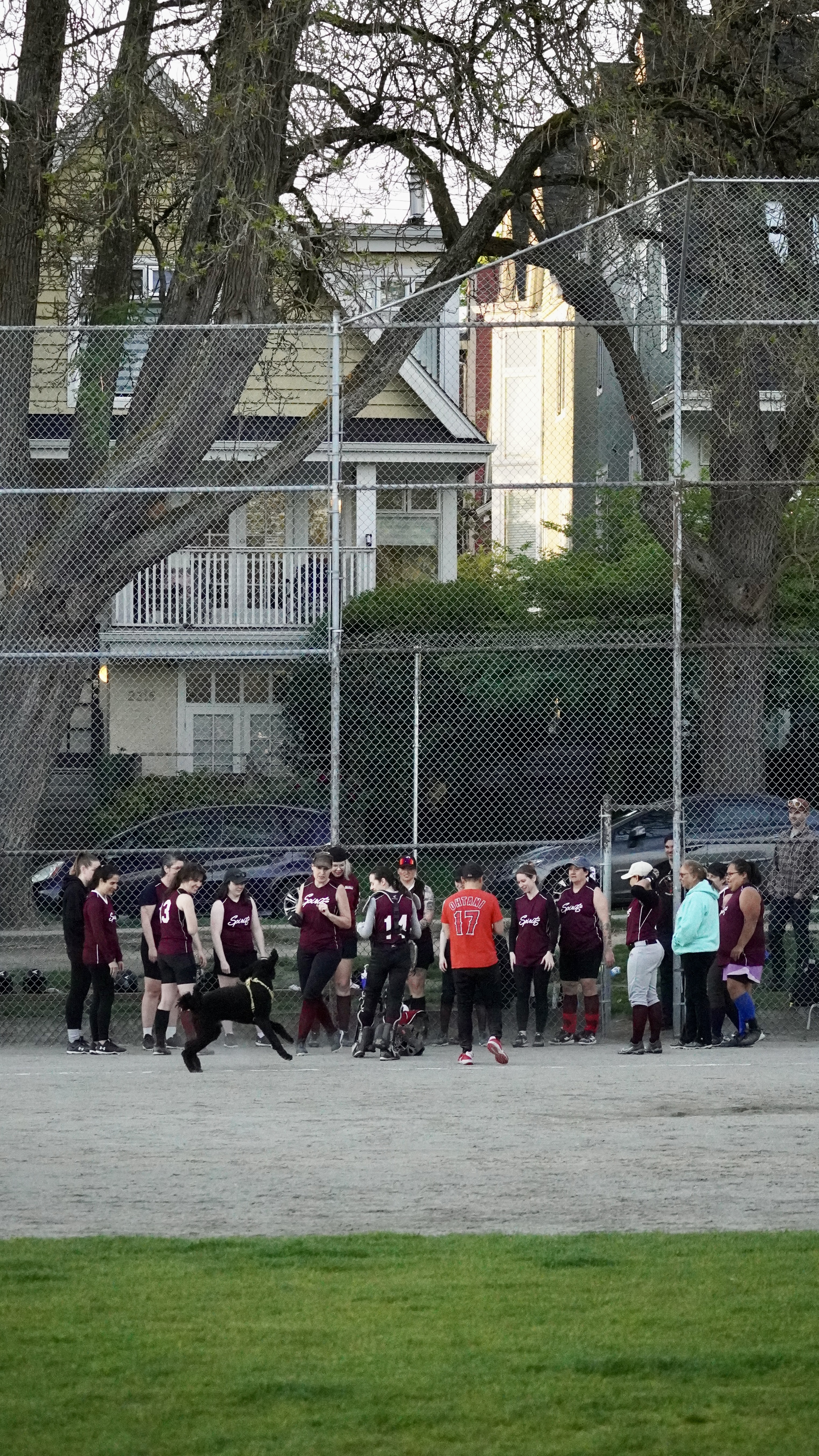 DSC03309.JPG
