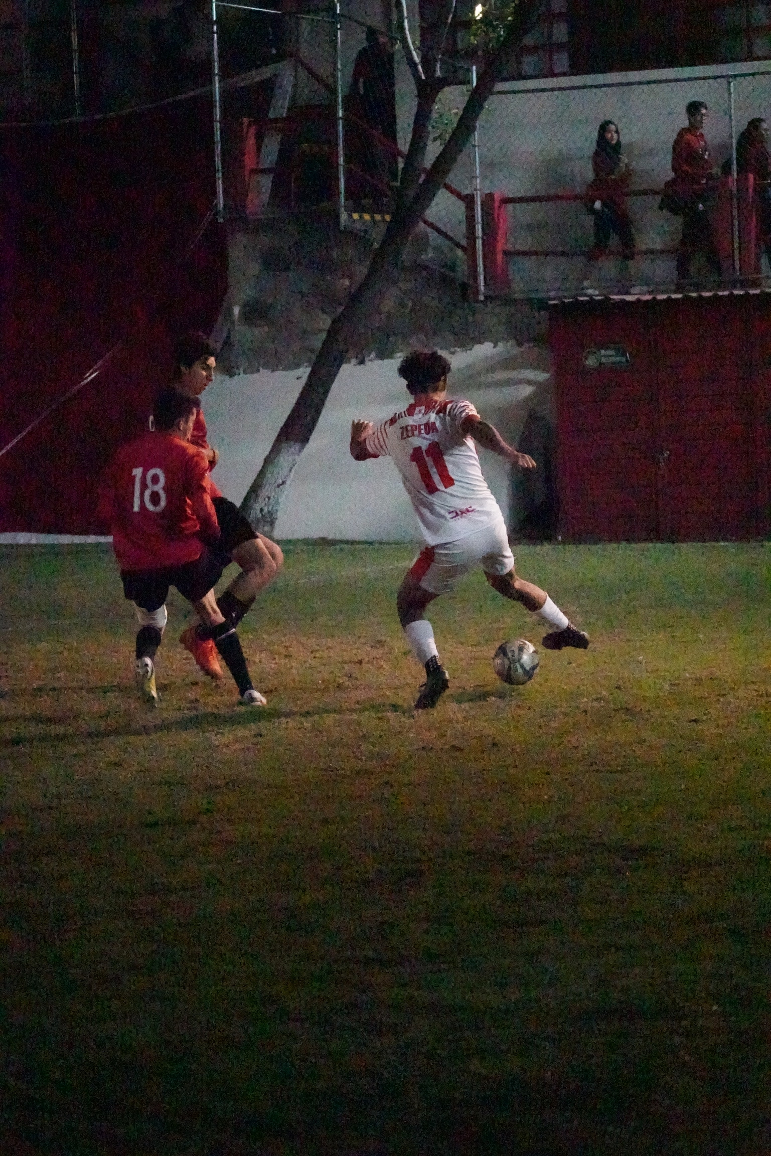 DSC00886.jpeg