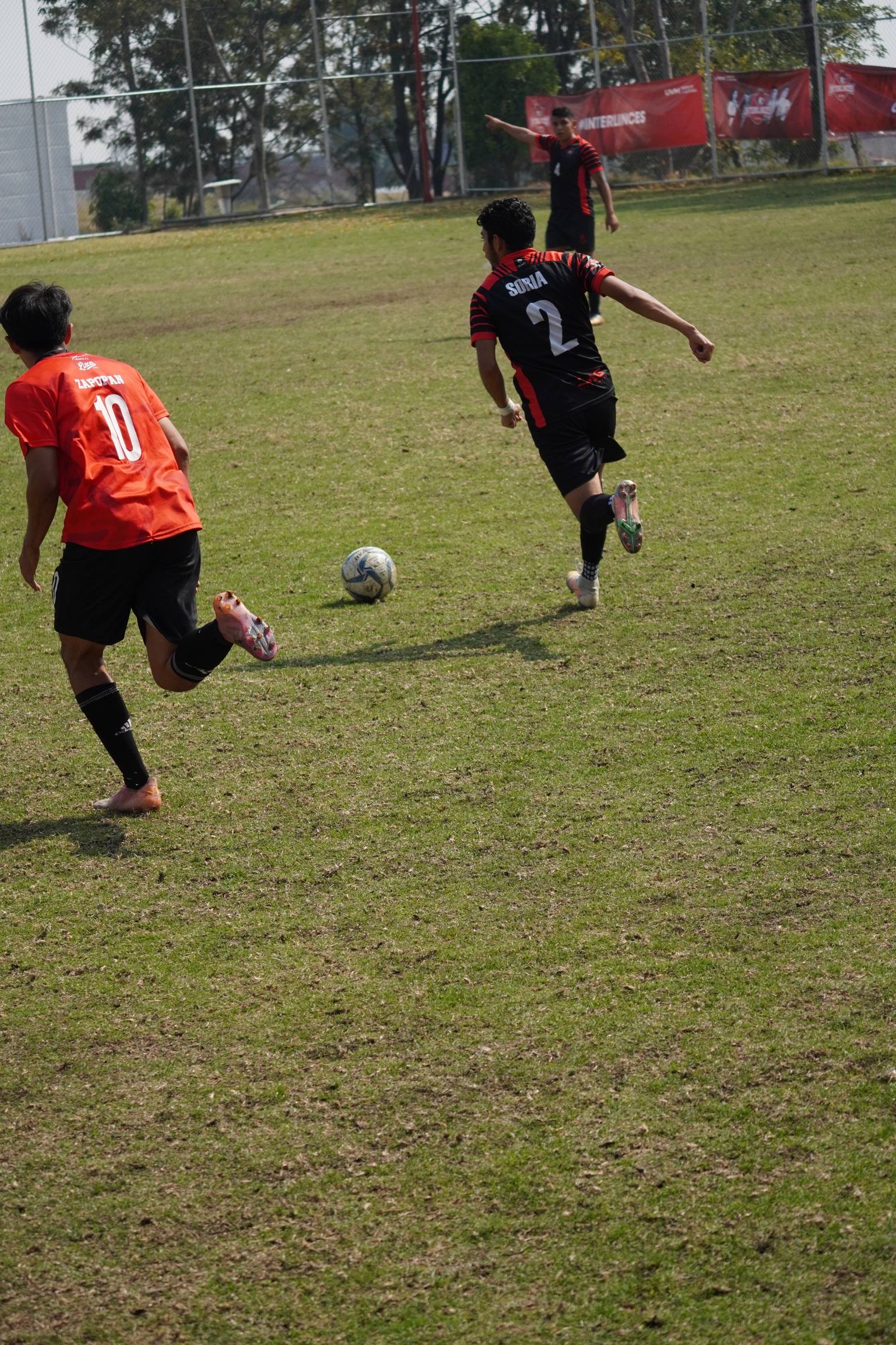 DSC00237.jpeg