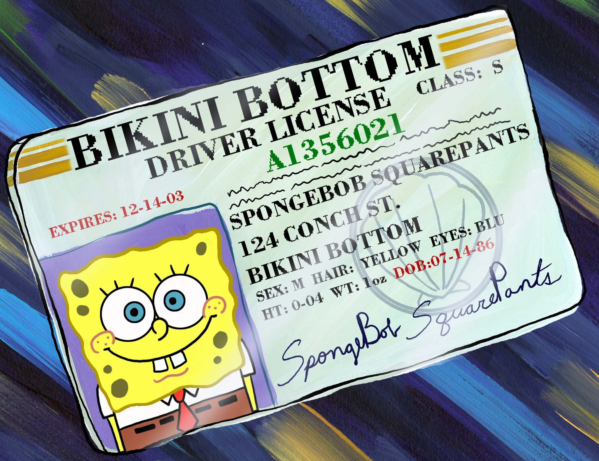 SpongeBob's_driver's_license.webp