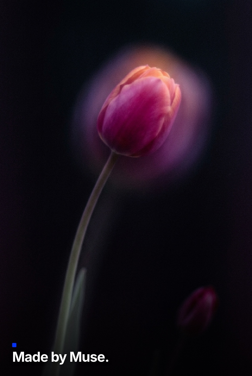 test_ws83vhdc_5am5a3hx.jpg
