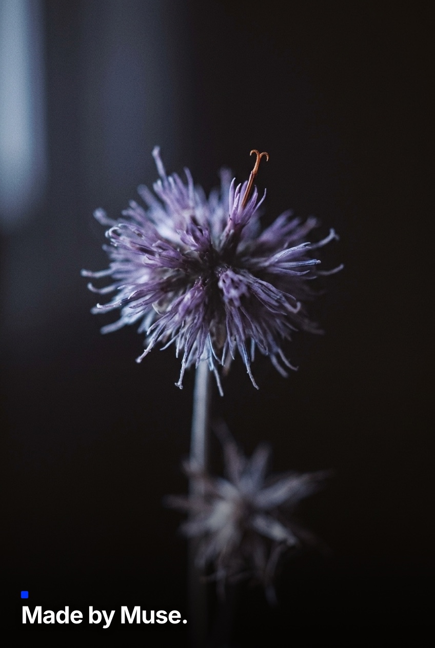 test_ws83vhdc_nycjyq9q.jpg