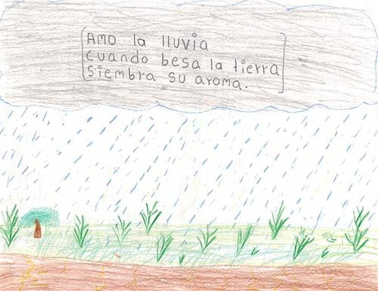 Amo la Lluvia (haiku)