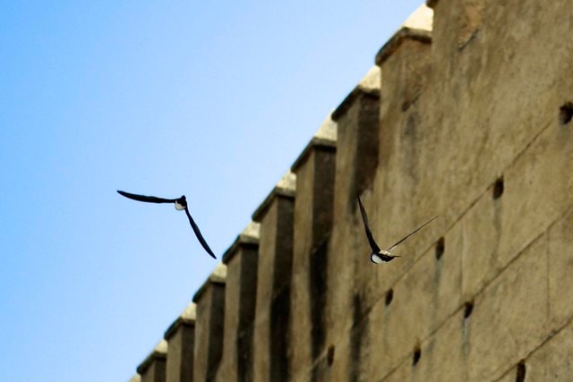 La Medina (Marruecos)
