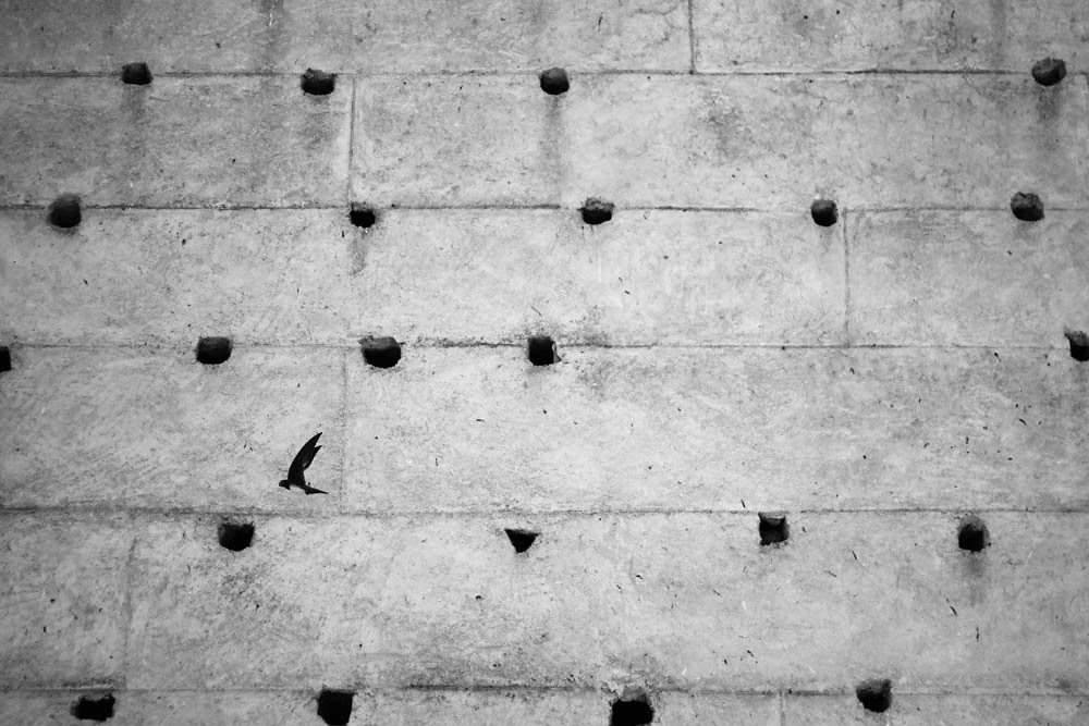 El vuelo