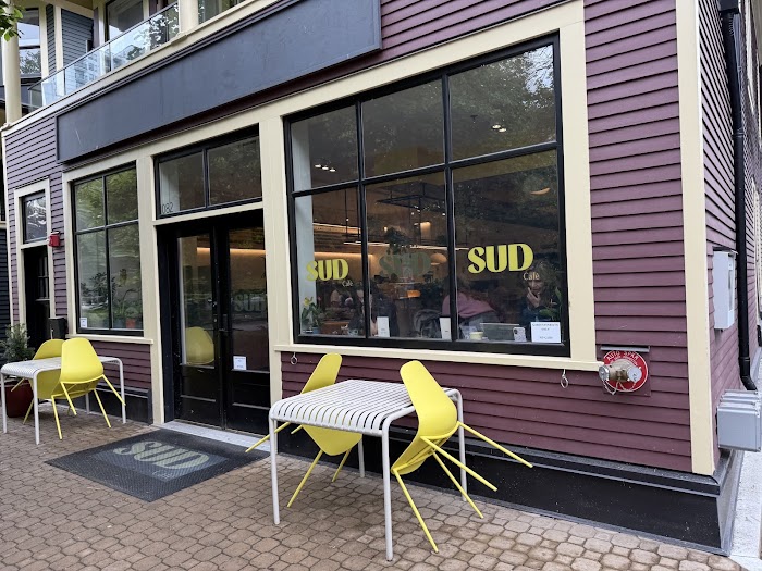 sud_0.img
