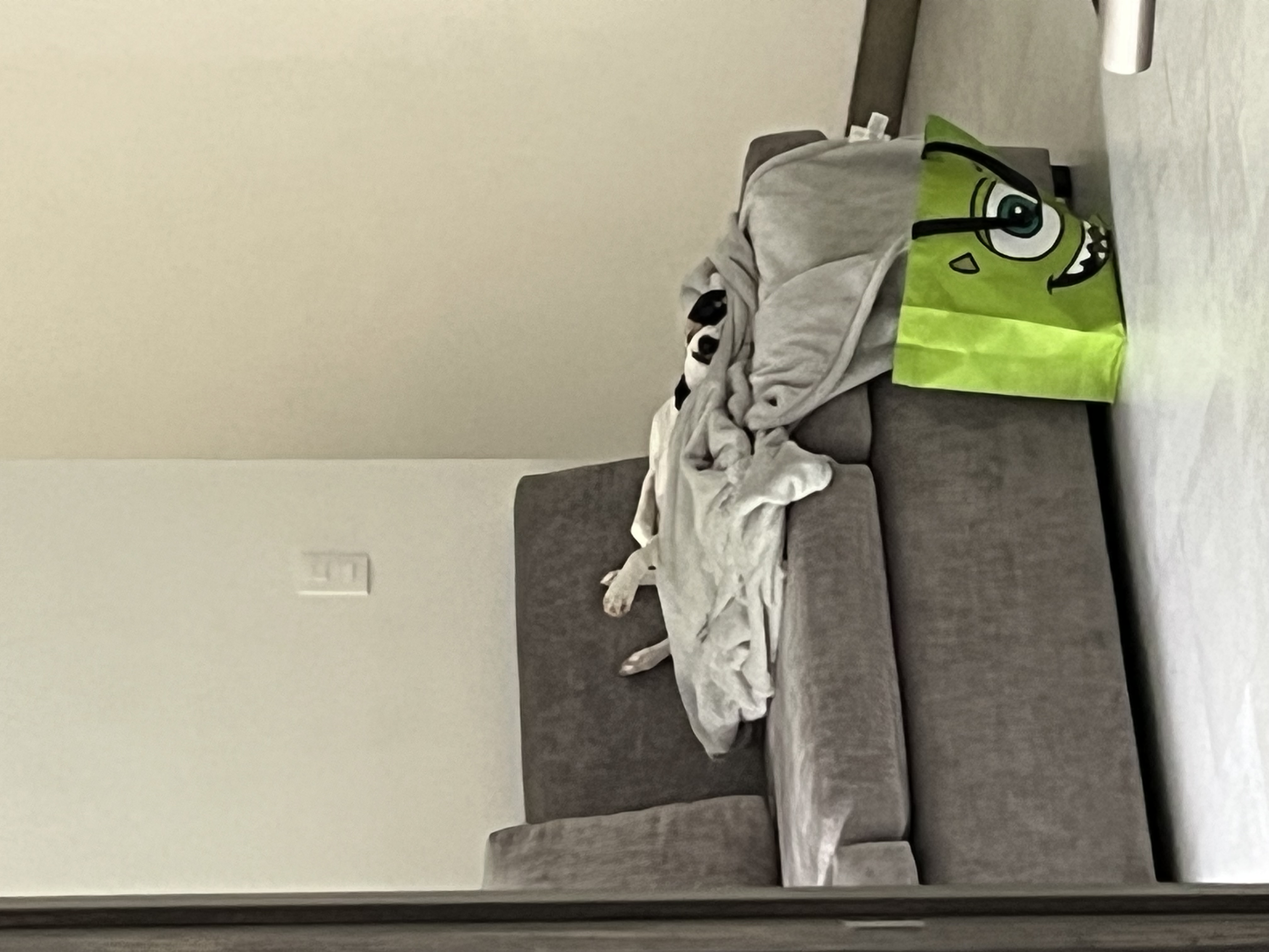 IMG_6791.jpeg