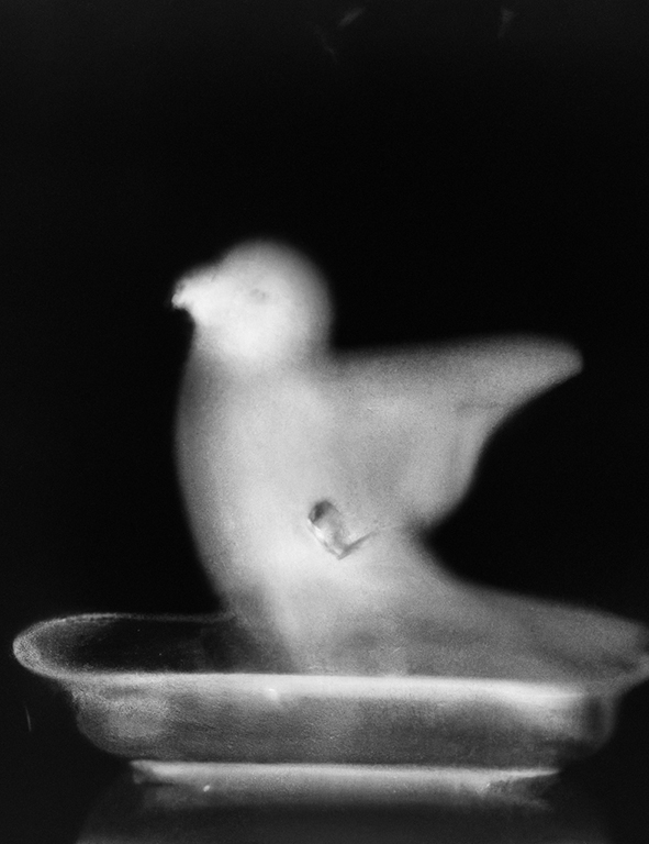 DALL·E 2023-10-01 16.24.44 - Upon conceiving a child I had a strange dream of an image of a bird symbolising the dark dark times to come. it made me consider if bringing a child i.jpg
